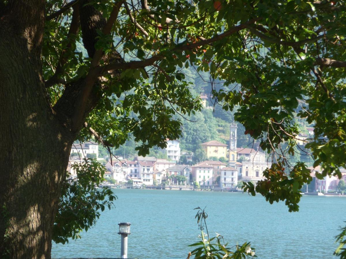 Ville Lago Lugano ポルト・チェレージオ エクステリア 写真
