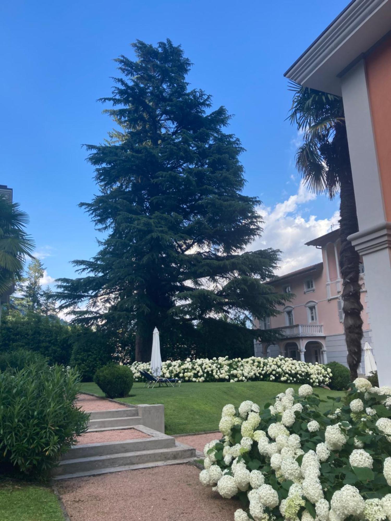 Ville Lago Lugano ポルト・チェレージオ エクステリア 写真